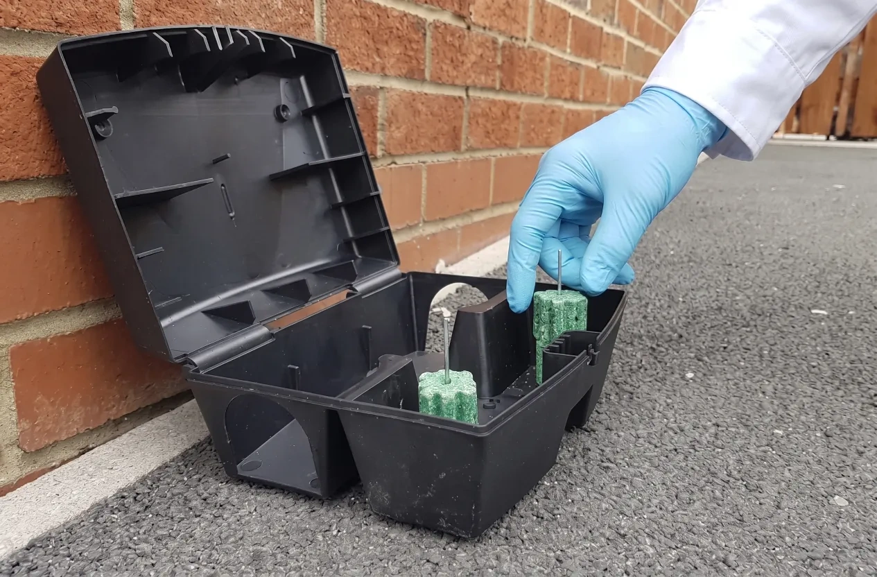 Technician placing bait inside a tamper-resistant rodent bait station during trapping service in Bloomington, Indiana