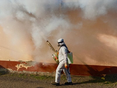 Professional outdoor fogging treatment applied to eliminate wasps, mosquitoes, and flying insects in Bloomington, Indiana