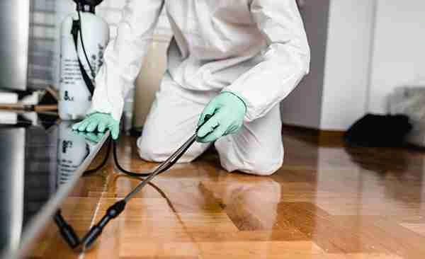 Professional pest control treatment being carefully applied along floor baseboards and corners in a Bloomington, Indiana home